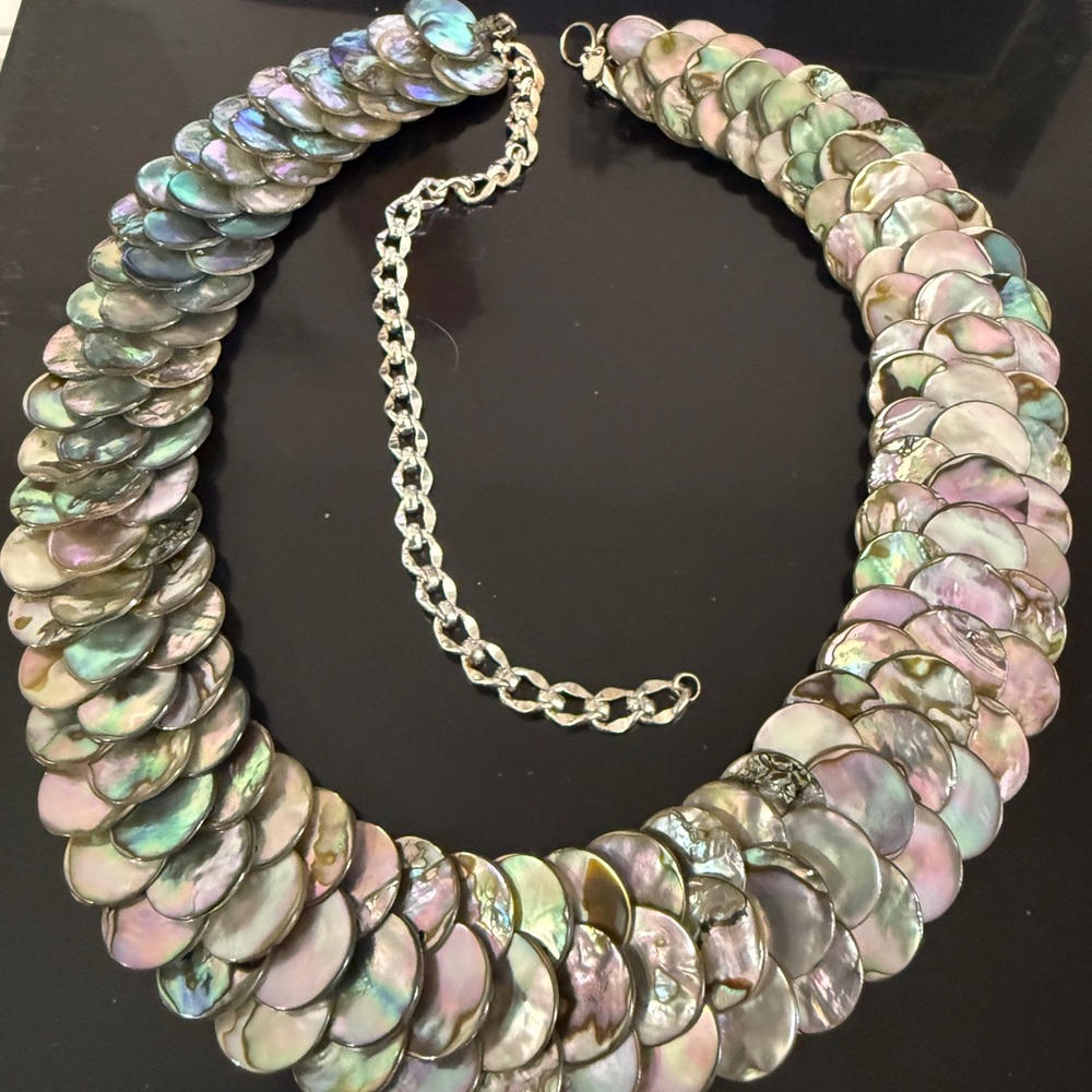 Abalone mother of Pearl necklace with 925 sterling chain.